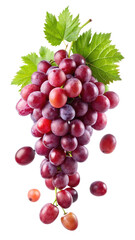 Red Grape with Leaves Isolated on White Background
