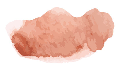 Watercolor Light Brown Splash and Brushstroke Texture for Creative Design. Vector watercolor pastel splatter.