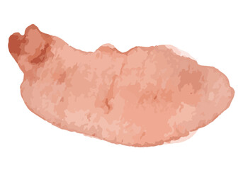 Light Brown Watercolor Splash and Brushstroke Texture for Creative Design. Vector watercolor pastel splatter.