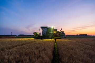 Obraz premium The combine is harvesting the wheat in the evening