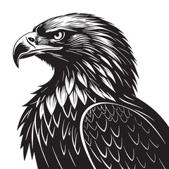 black eagle Silhouette Vector, High Quality Illustration on White Background