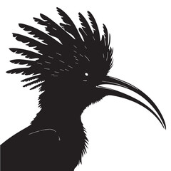 black eurasian hoopoe bird Silhouette Vector, High Quality Illustration on White Background