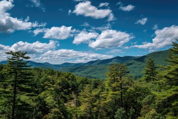 Panoramic mountain vista. Lush green forests meet a hazy blue mountain range under a vibrant sky filled with fluffy white clouds