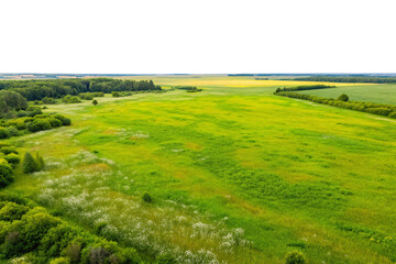 Obraz premium Aerial view of lush green meadow with scattered wildflowers and forest edges landscape, isolated on a transparent background