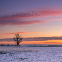 Pastel Sunrise Over Frosted Meadow and Distant Buildings