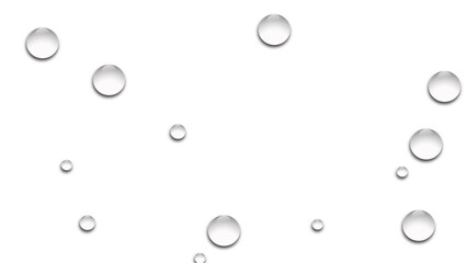 water drops on a black background