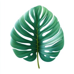Vibrant, detailed illustration of a large, tropical leaf.  Its deep teal green hue and intricate, scalloped veins create a striking visual.  