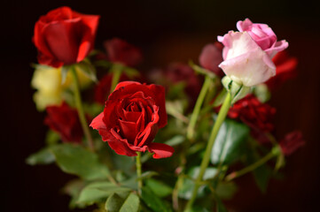 bouquet of colorful roses in the clay vintage vase at the table