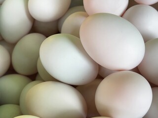 Raw Duck Eggs Close up in The Basket Farm
