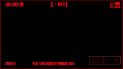 Red digital camera recording interface with timer battery indicator storage and audio waveform screen . 4k video