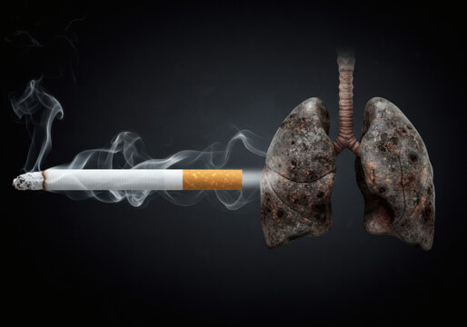 A conceptual image illustrating the devastating effects of tobacco smoking with a cigarette leading to diseased, cancerous lungs.