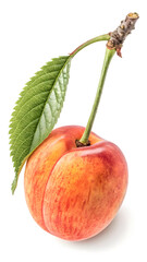 "Single Ripe Cherry with Stem and Leaf Isolated on White Background"
