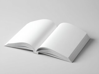 Open book, blank pages, studio shot (1)