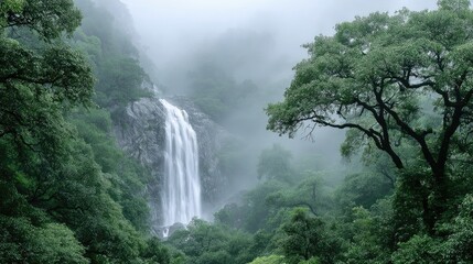 Misty Rainforest Waterfall With Lush Greenery