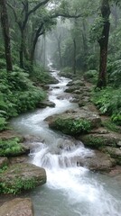 Obraz premium Rain-Soaked Stream in Lush Green Forest