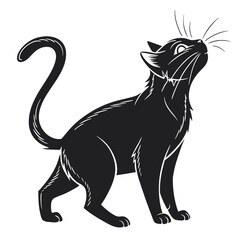 Black cat looking upwards with curled tail