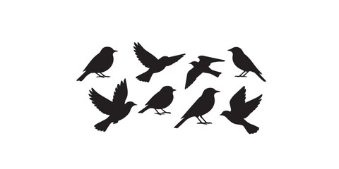Fototapeta premium Print Set of black bird silhouettes. Vector elements for design.