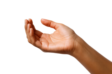 A graceful open hand gesture highlighting the palm against a clean background.