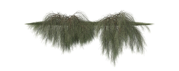 Cut out realistic greenery vine and creeper plants on transparent backgrounds. High quality 3d rendering. png format	