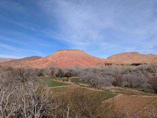 Stunning view of red mountains under a clear blue sky with barren trees in the foreground in Morocco