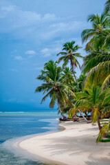 A white beach with palm trees on an island in Panama