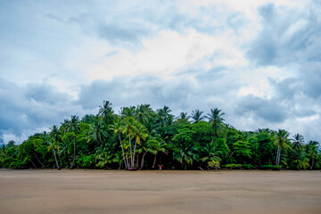 Girl standing in front of the jungle on a beach