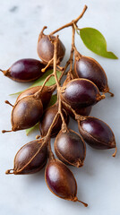 Shiny dark fruits on a branch