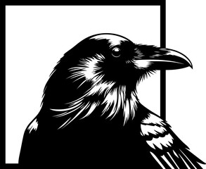 The Crow in frame illustration wall decoration art