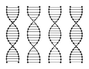 DNA helix diagrams