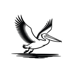 Obraz premium Pelican in flight with wings spread and long beak bird flying