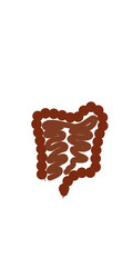 Hand drawn illustration, of the human digestive system intestines.