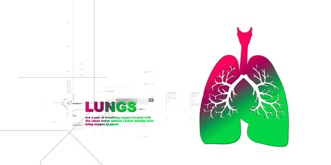 2d illustration Healthy Human Lungs 