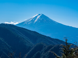 Fototapeta premium 本社ヶ丸からの富士山