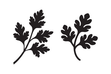 Set of Parsley Herb Leaves Silhouette - Aromatic Culinary Vector