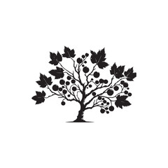 Fototapeta premium Alder Tree Silhouette Illustration – Black Outline on White Background.