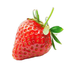 Single, vibrant red strawberry (1)