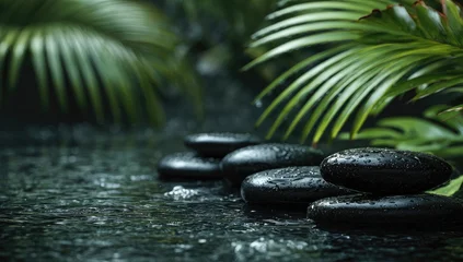 Fototapete Toilette Wet, black stones arranged in a row on a dark, flowing stream, nestled amongst lush, vibrant green tropical foliage  © twobrother