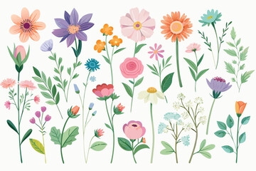 A vibrant collection of hand drawn flowers and leaves in various blooming stages on a white background