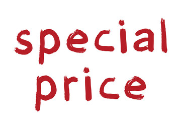 Special price lettering Handwritten word Modern brush calligraphy Template for marketing ad, print, web, banner, poster, flyer Ink illustration