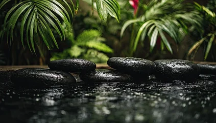 Fototapete Toilette Wet, dark stones arranged on a shallow, dark water surface, partially obscured by lush, tropical foliage  © Scetsa