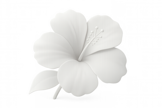 Pristine white hibiscus displaying delicate pistil, vibrant green leaf against pure background