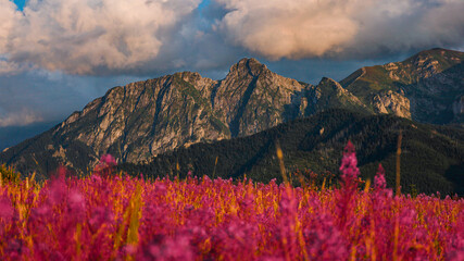 Widok na giewon w pochmurny dzień z Kościeliska