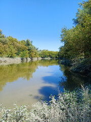 Fototapeta premium Calm River with Autumn-Tinged Trees