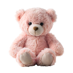 Obraz premium teddy bear isolated on white