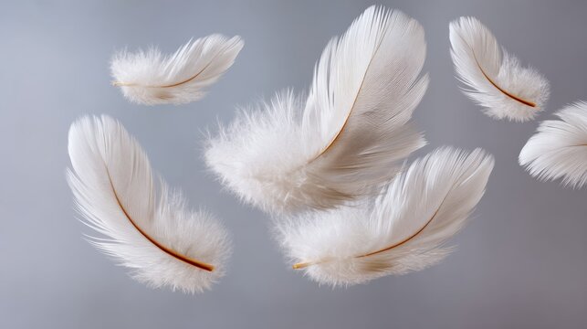 Flock of white feathers floating in the air. The feathers are scattered in various directions, creating a sense of movement and freedom. The scene evokes a feeling of lightness and tranquility