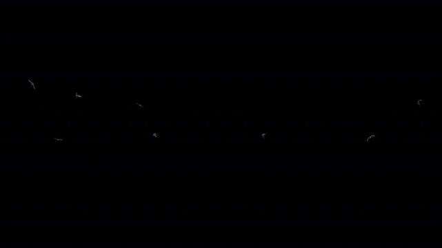 indian landmark motion graphic opener 