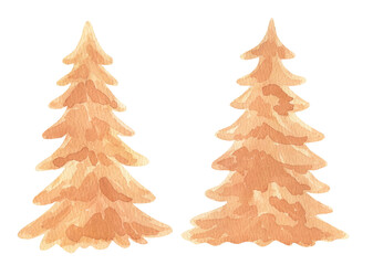Obraz premium Watercolor pine tree isolated Illustration in neutral colors