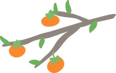 감나무 일러스트