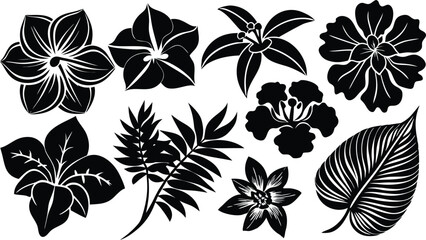 Pack of exotic flower silhouettes inspired by orchids