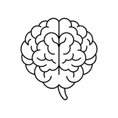 Brain line art, brain line art vector